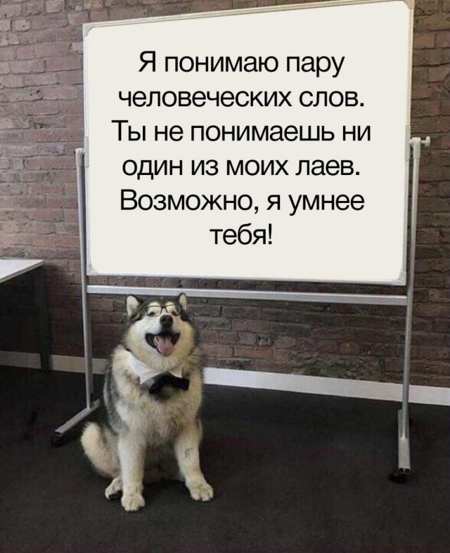 Скрины из соцсетей