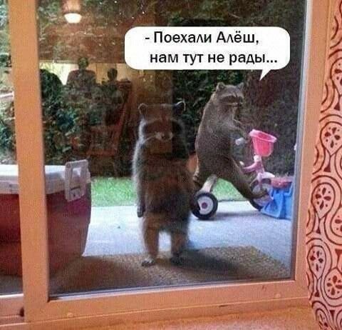 Скрины из соцсетей