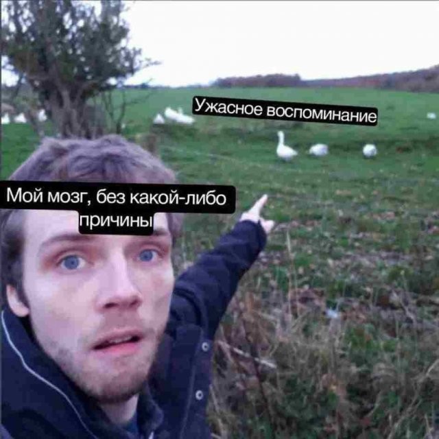 Скрины из соцсетей