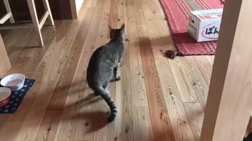 Просто гифки, всякие и&nbsp;разные