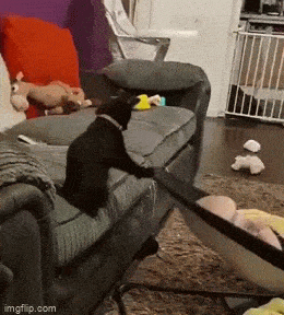 Просто гифки, всякие и&nbsp;разные