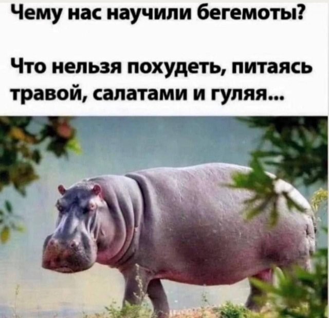 Скрины из соцсетей