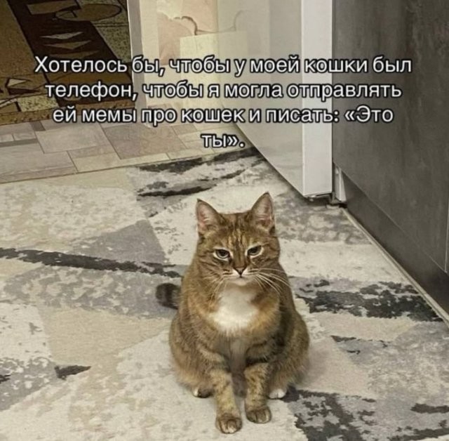 Скрины из соцсетей