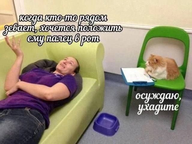Скрины из соцсетей