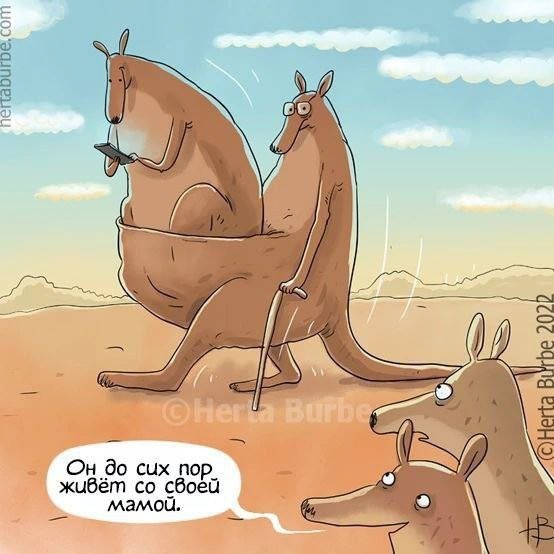 Скрины из соцсетей