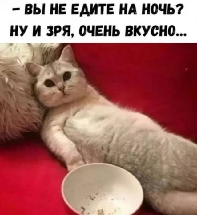 Скрины из соцсетей