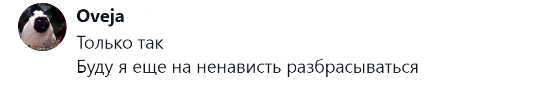 24. Ненависть слишком ценный ресурс, чтобы попусту его тратить