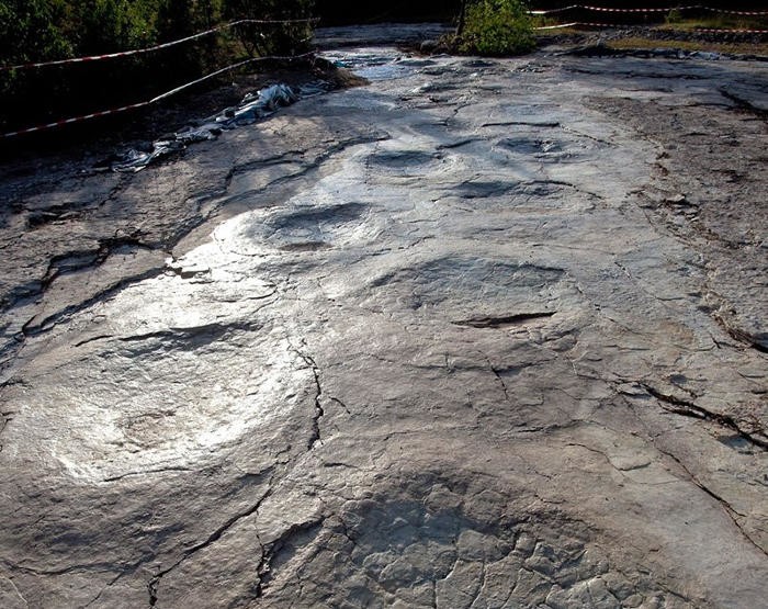 8. Тропа динозавров во Франции в горном массиве Юра. Следы считаются самыми крупными из всех обнаруженных в мире (длина от 0,5 до 1,5 метров)