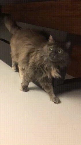 Просто гифки, всякие и&nbsp;разные