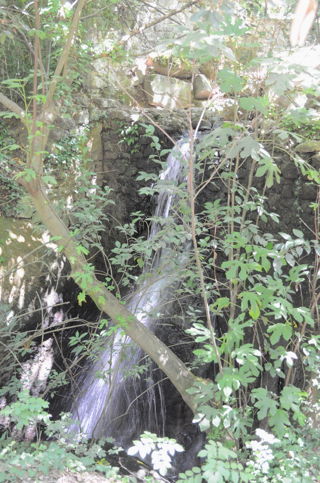 Таинственный лес Бомарцо, ставший домом для порождений герцогской тоски