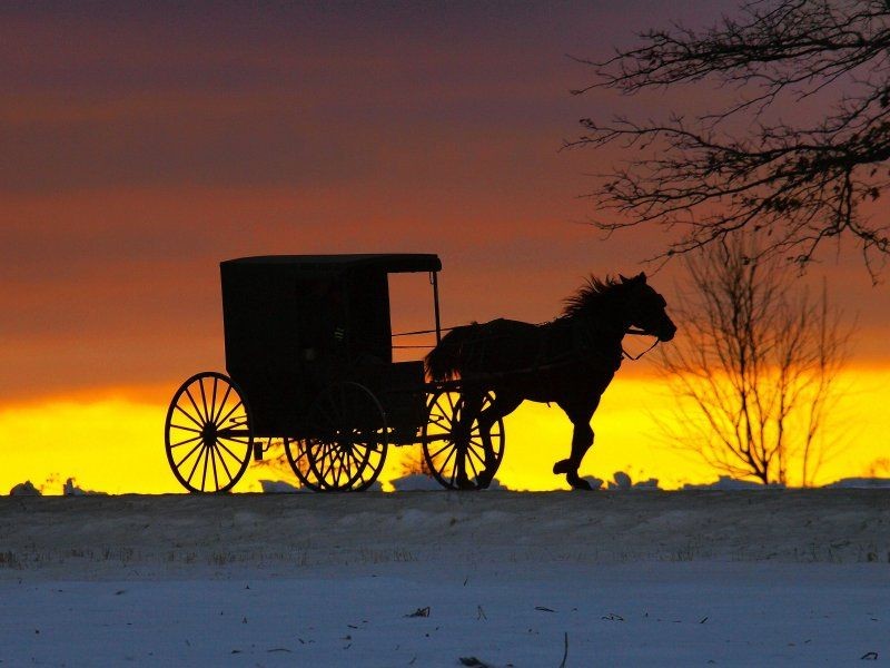 14. Пора в дорогу