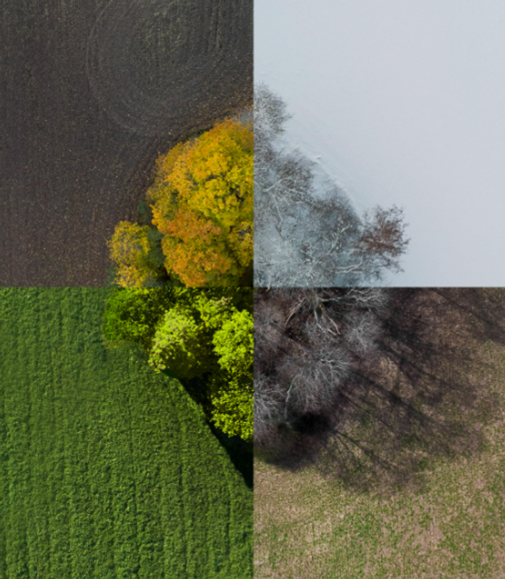 15. Времена года