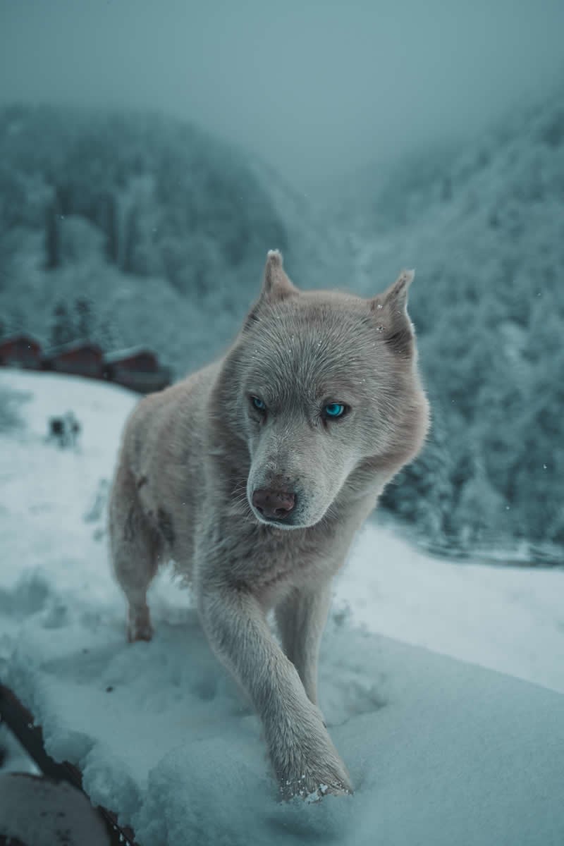 16. Внимательность и осторожность