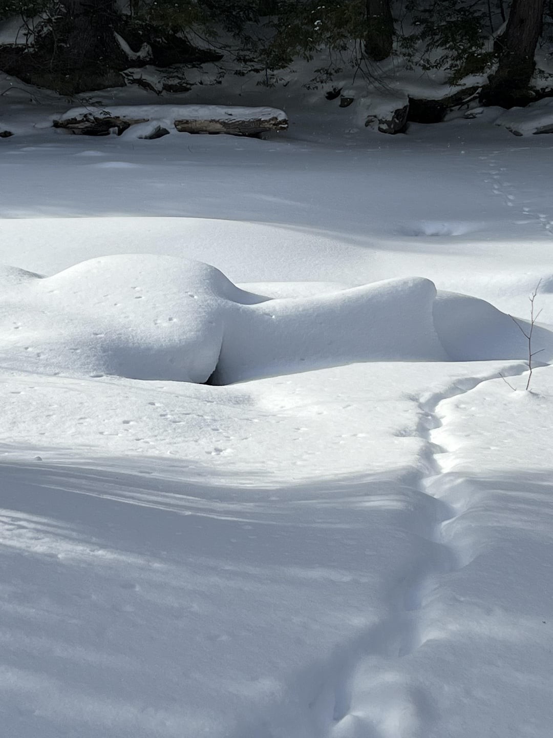 26. Лицо в снегу
