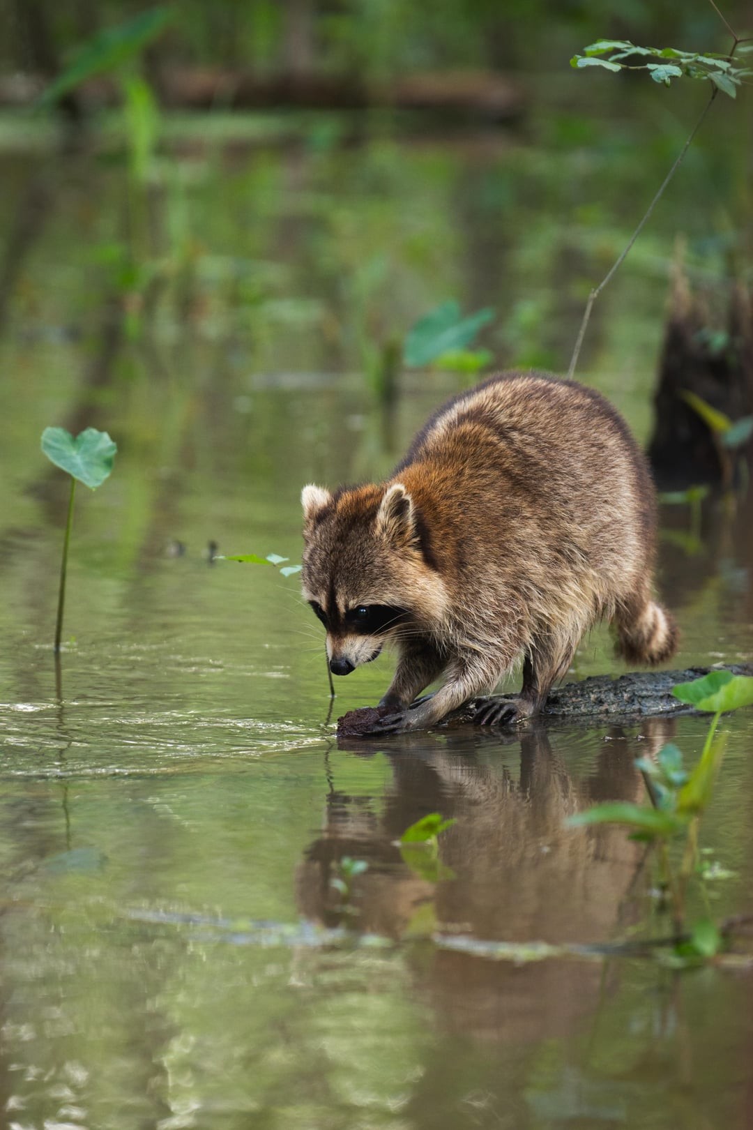 13. Начинаем стирку