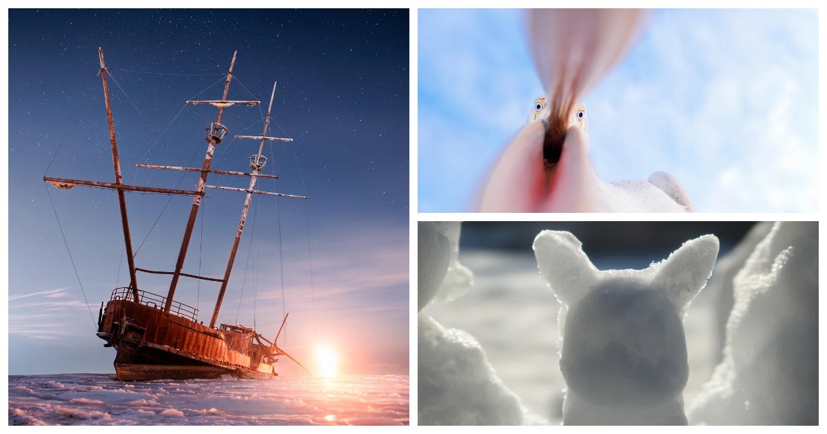 30 фото, доказывающих, что чудо гораздо ближе, чем мы думаем