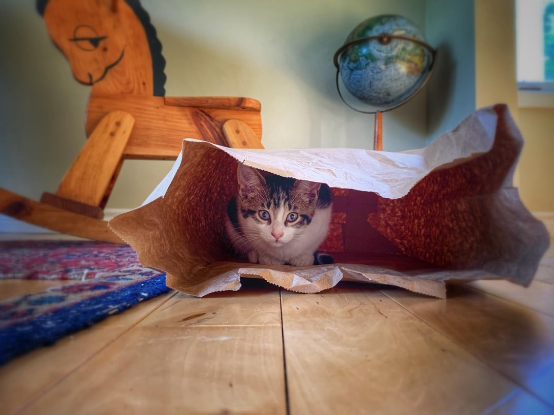 17. Ты меня не видел!