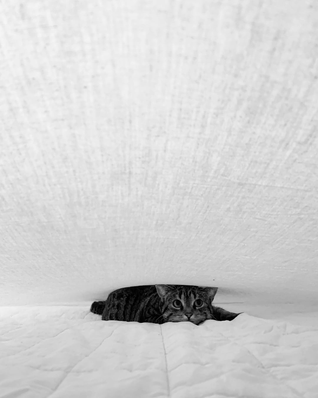 4. Жизнь между матрасом и одеялом