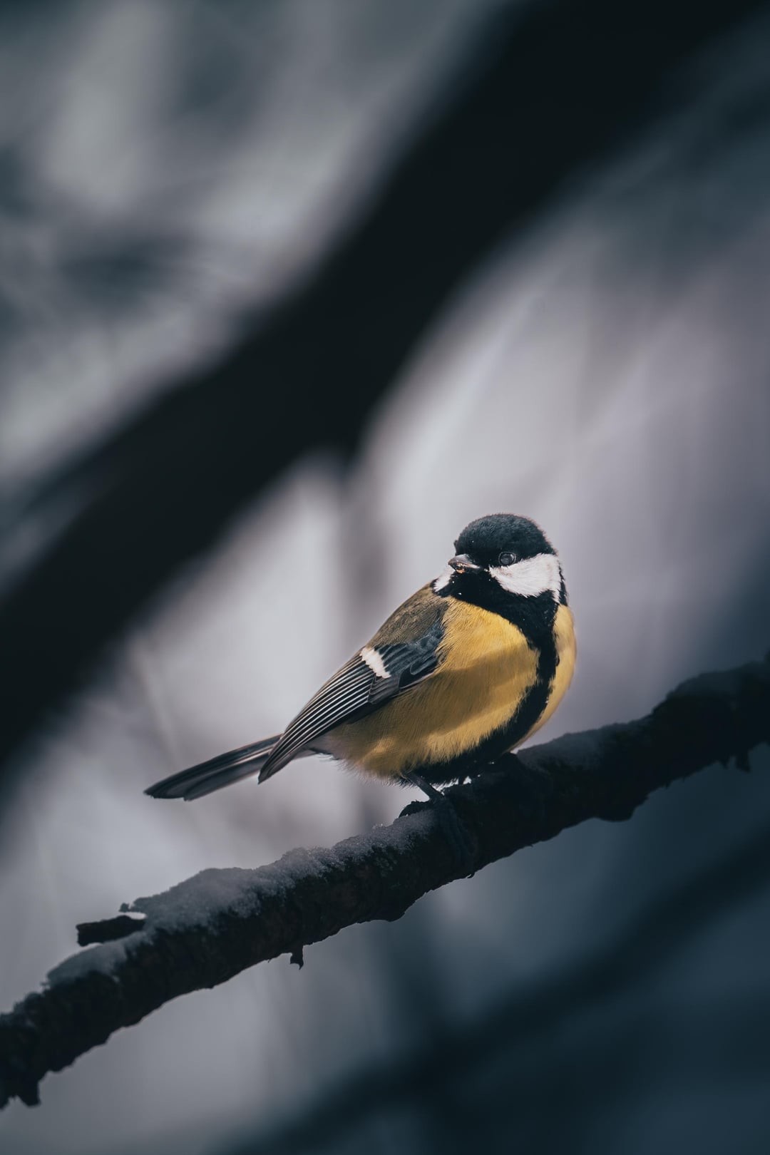 8. Скоро весна