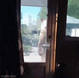 Просто гифки, всякие и&nbsp;разные