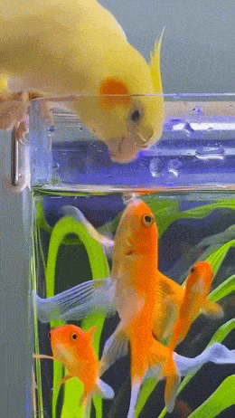 Просто гифки, всякие и&nbsp;разные