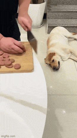 Просто гифки, всякие и&nbsp;разные