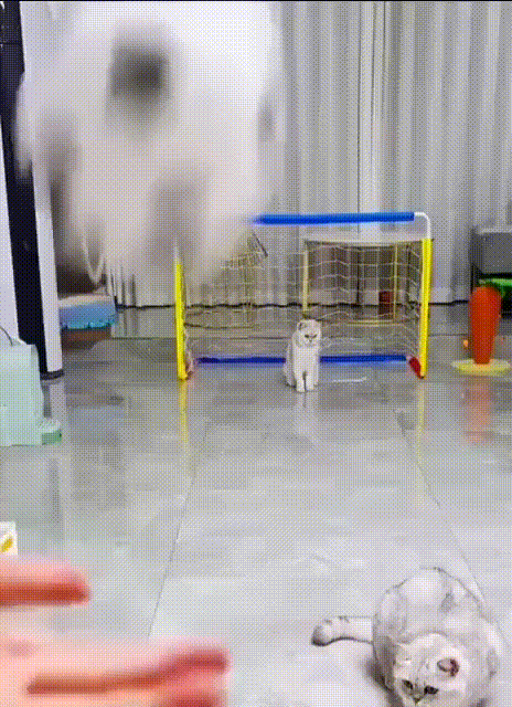 Просто гифки, всякие и&nbsp;разные