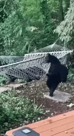 Просто гифки, всякие и&nbsp;разные