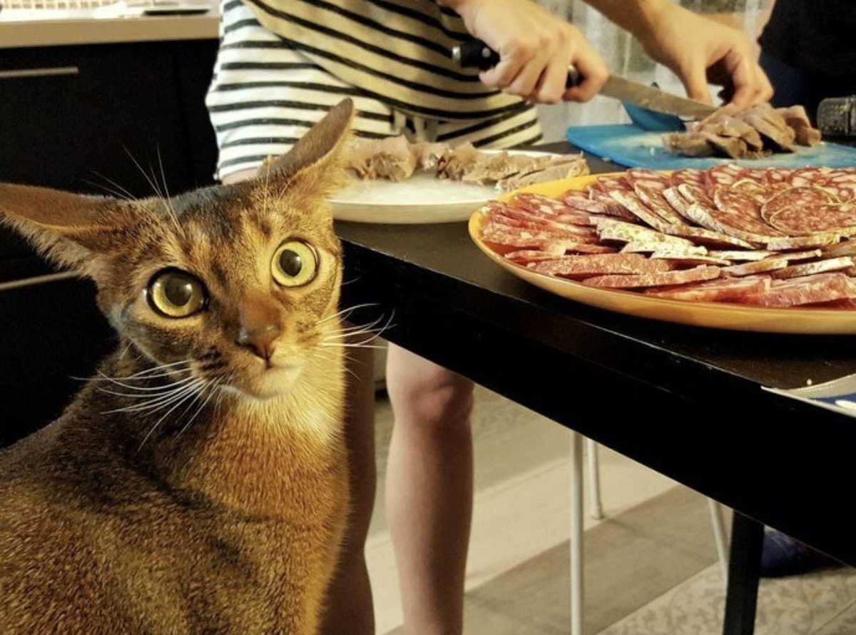 Люди с такой выдержкой, о которой говорят: не увидишь — не поверишь