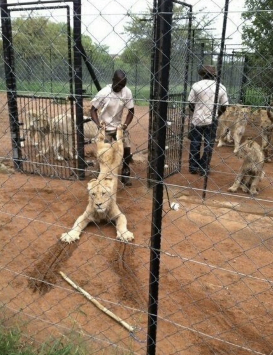Люди с такой выдержкой, о которой говорят: не увидишь — не поверишь