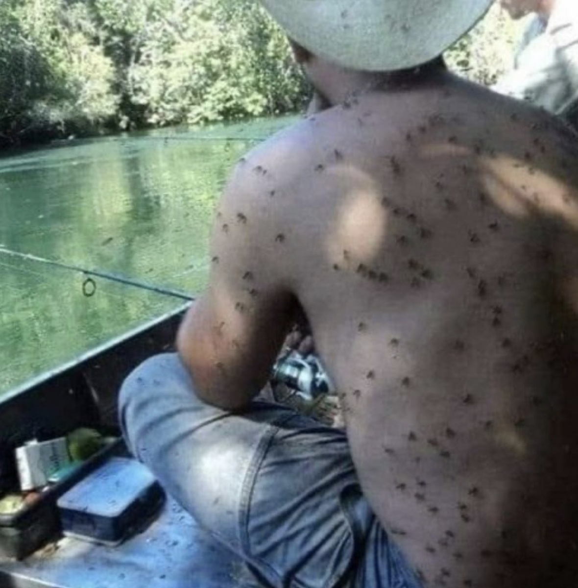 Люди с такой выдержкой, о которой говорят: не увидишь — не поверишь