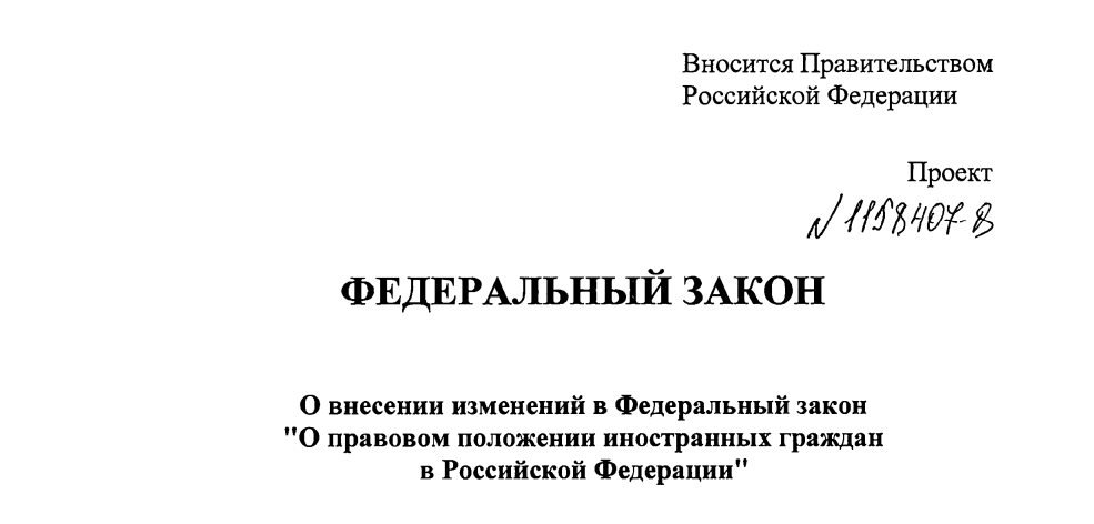 Правительство предложило лишить детей мигрантов права на «бессрочное» иждивение