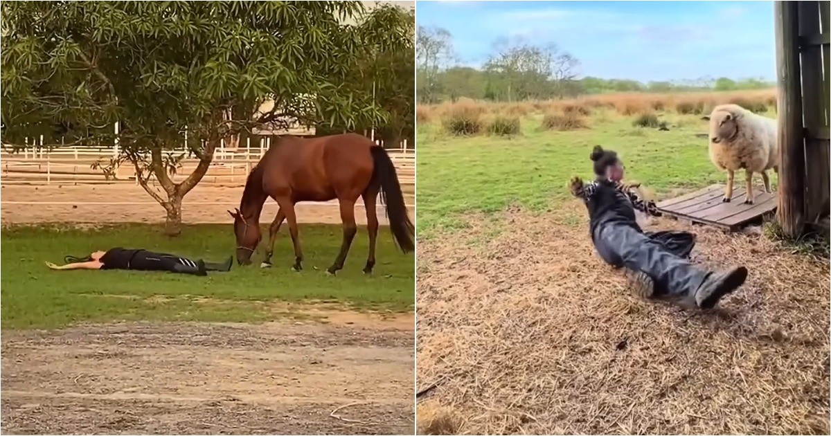 Видео-подборка: забавная реакция животных на обморок