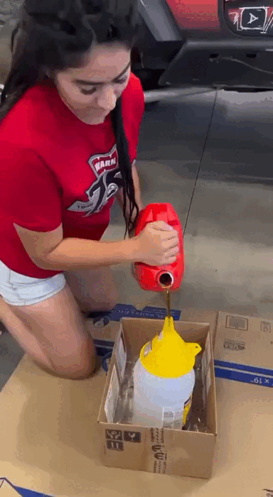 Одна умней другой 