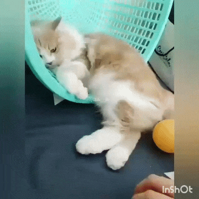 Просто гифки, всякие и&nbsp;разные