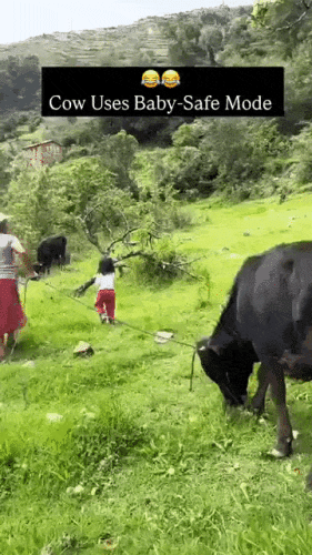 Просто гифки, всякие и&nbsp;разные