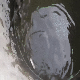 Солянка от 23.02.2026