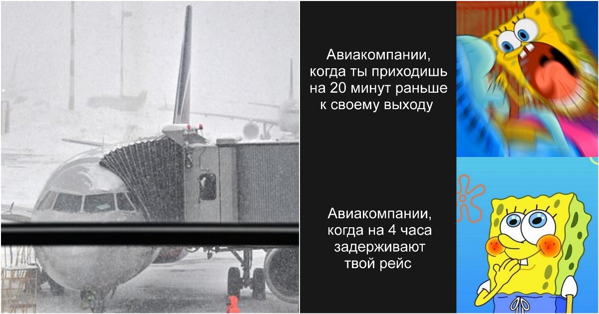 Летаем по-новому: Минтранс обновил правила авиаперевозок с 1 марта