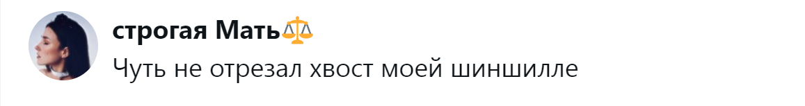 15. Покушение на беззащитное существо