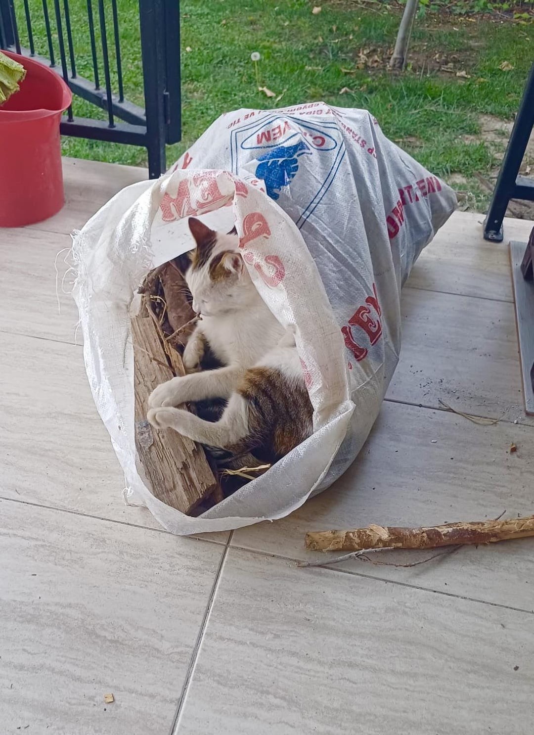 10. А сон нечаянно нагрянет, когда его совсем не ждёшь