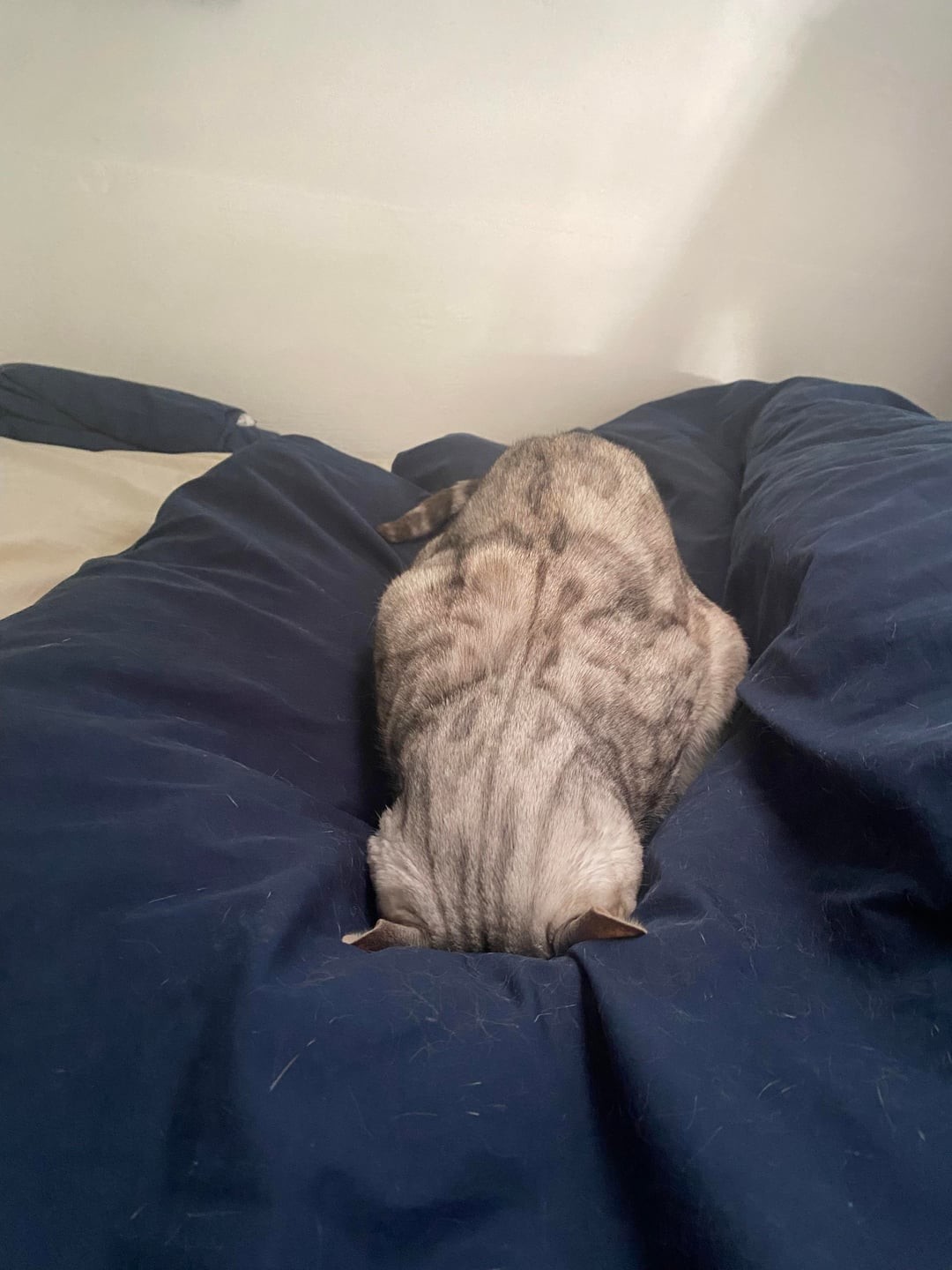 7. Мыслитель в ударе