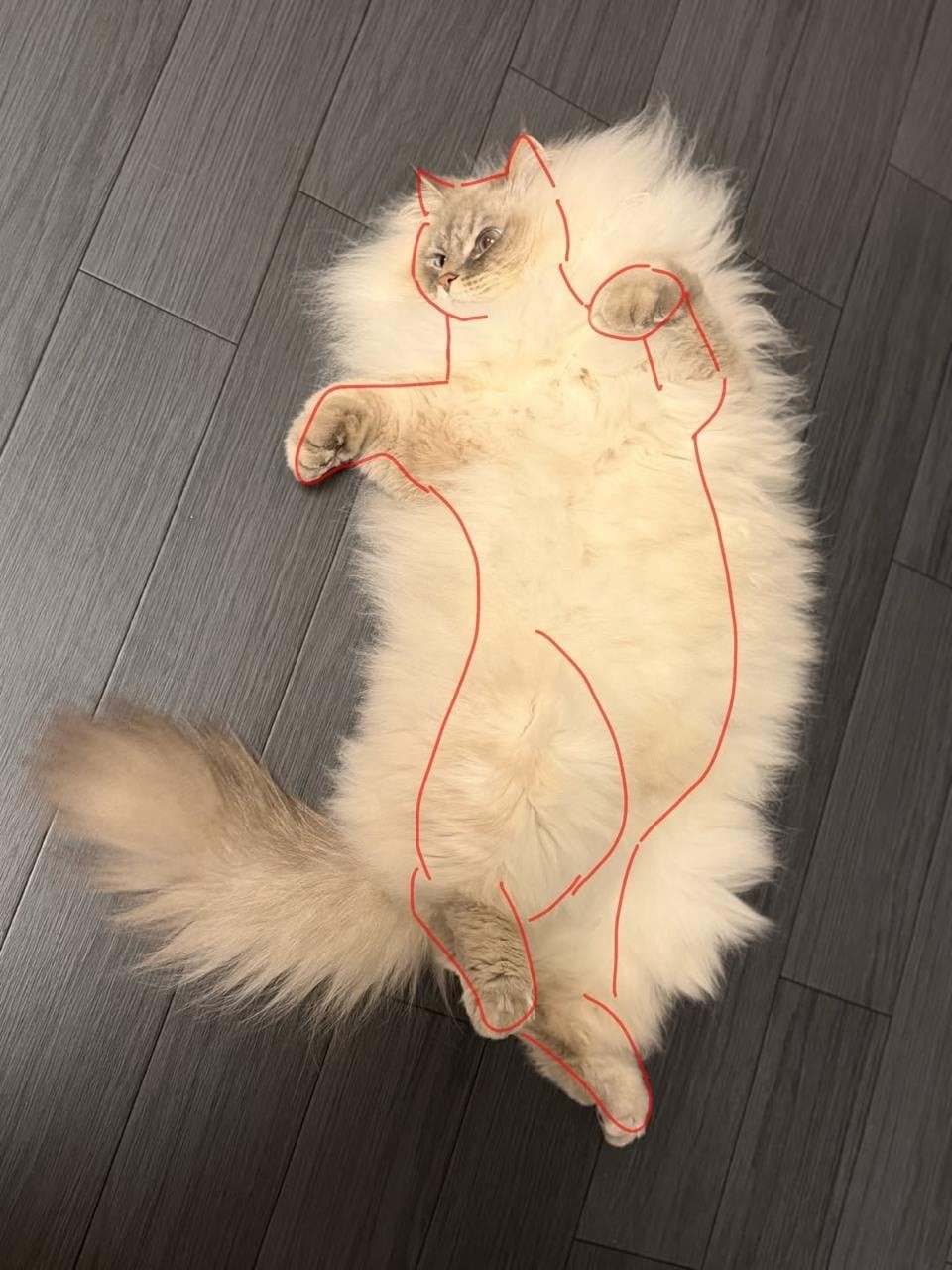 8. Два в одном