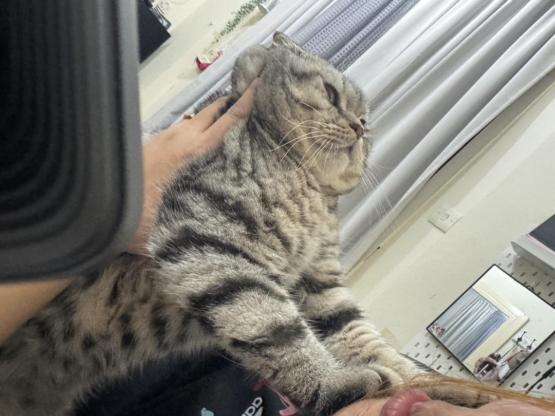 25. Мне не нужны твои чмоки, жалкий человечек