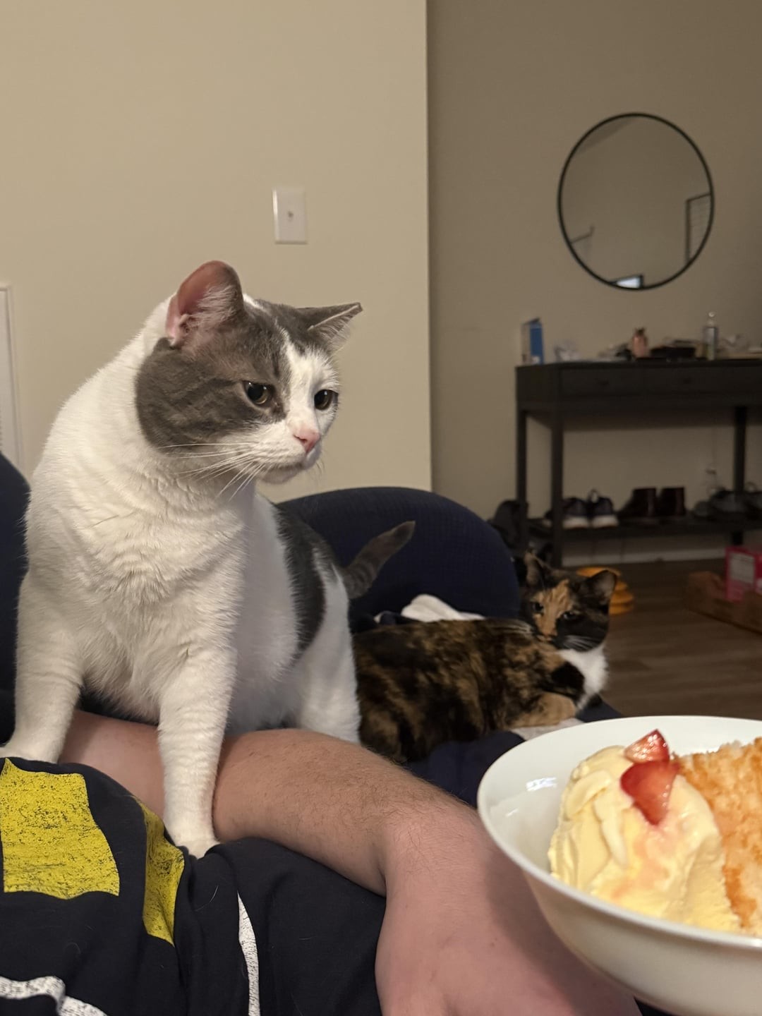 12. Наверное, это очень вкусное мороженое?