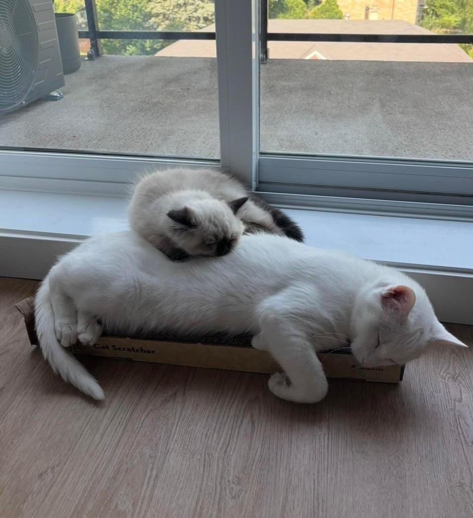 5. Только вместе, только рядом