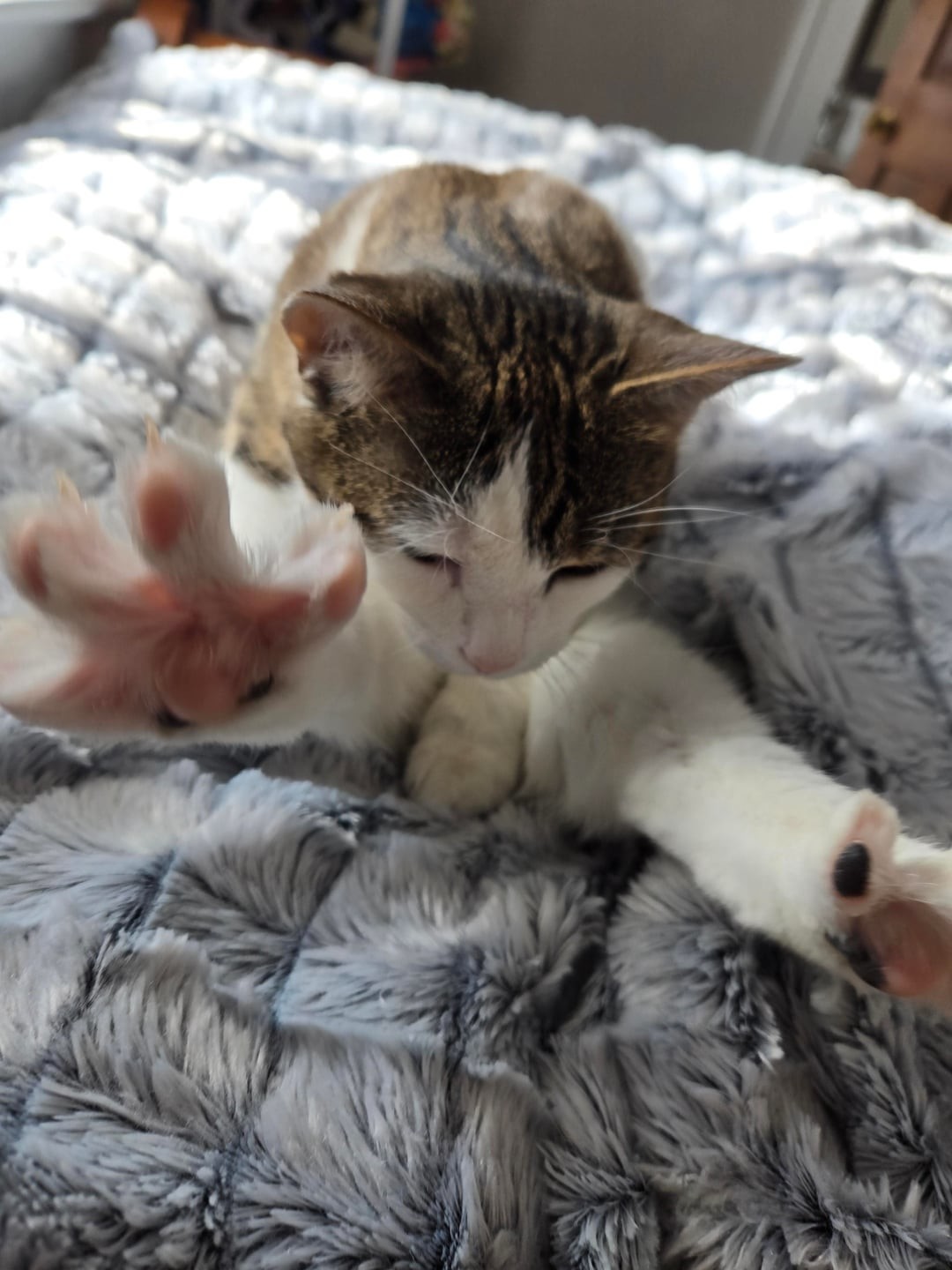26. Йог, который смог