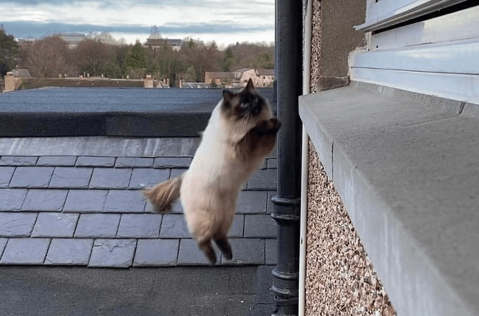 15. Иду на взлёт