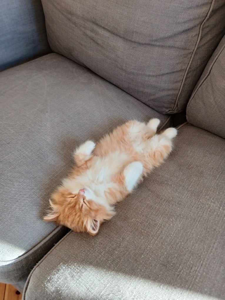 3. Даю уроки по ловле сновидений