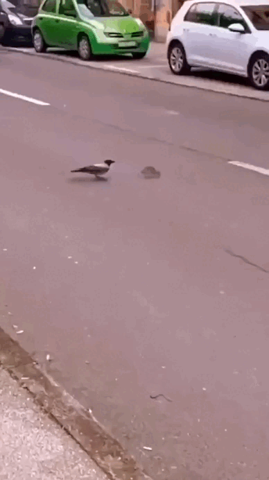 Просто гифки, всякие и&nbsp;разные