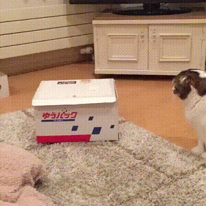 Просто гифки, всякие и&nbsp;разные